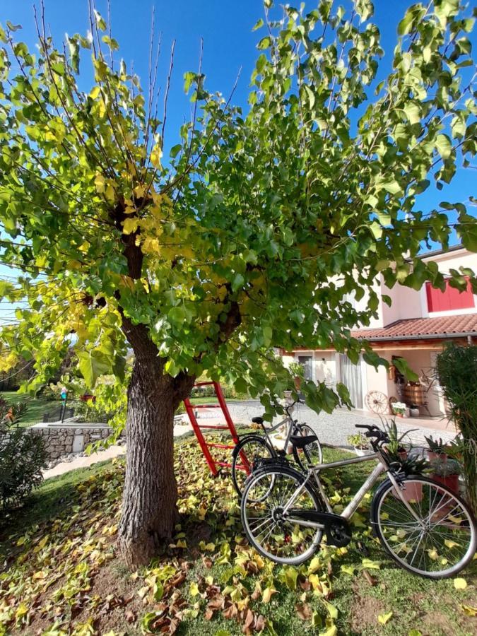 Giuliva B&B Refrontolo Extérieur photo